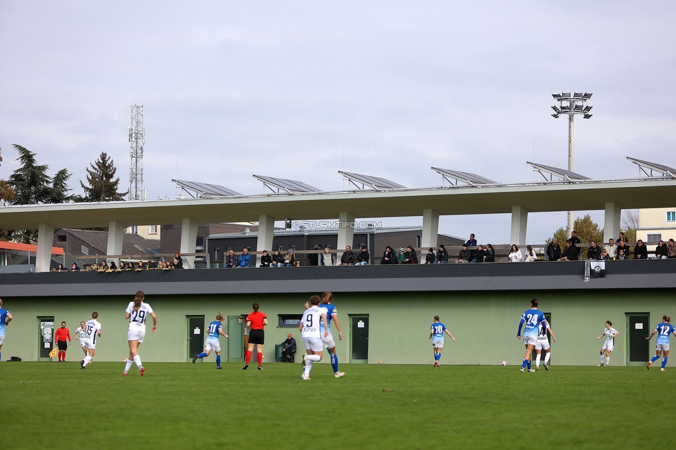 Sturm Damen - Lustenau
OEFB Frauen Bundesliga, 9. Runde, SK Sturm Graz Damen - SPG FC Lustenau FC Dornbirn Ladies, MURAUER Bier Arena - StFV Graz, 03.11.2024. 

Foto zeigt Fans
