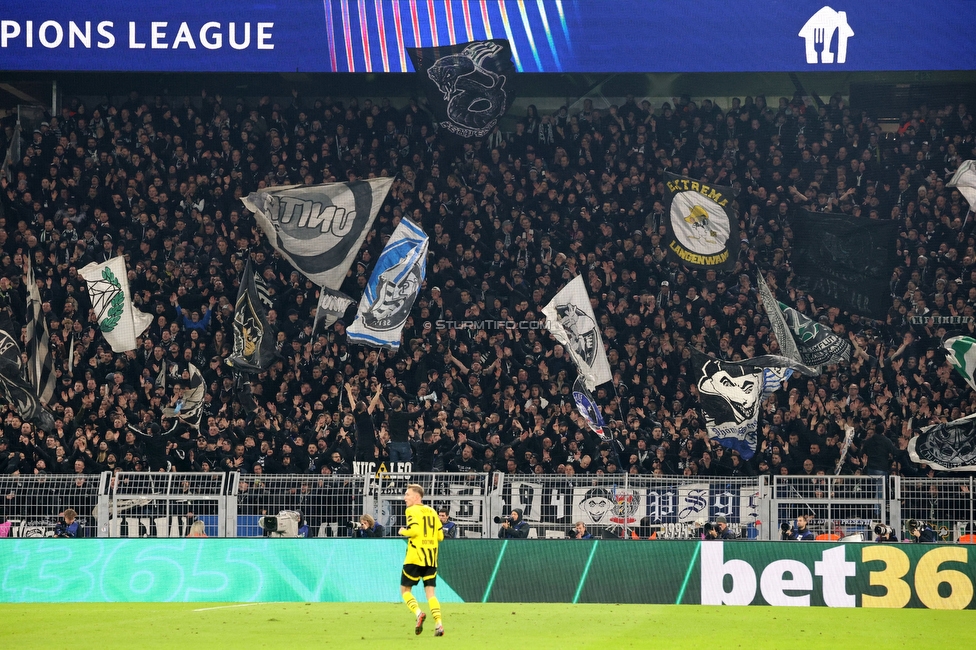 Borussia Dortmund - Sturm Graz
UEFA Champions League Ligaphase 4. Spieltag, Borussia Dortmund - SK Sturm Graz, BVB Stadion Dortmund, 05.11.2024. 

Foto zeigt Fans von Sturm
