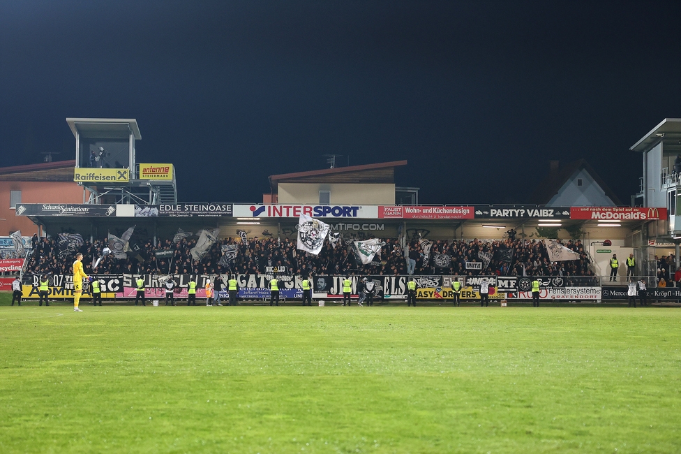 Hartberg - Sturm Graz
Oesterreichische Fussball Bundesliga, 13. Runde, TSV Hartberg - SK Sturm Graz, PROfertil Arena Hartberg, 09.11.2024. 

Foto zeigt Fans von Sturm
