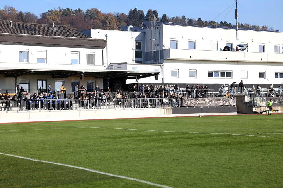 Sturm Damen - BW Linz
OEFB Frauen Bundesliga, 10. Runde, SK Sturm Graz Damen - FC Blau-Weiss Linz Kleinmuenchen, Trainingszentrum Messendorf, 10.11.2024. 

Foto zeigt Fans
