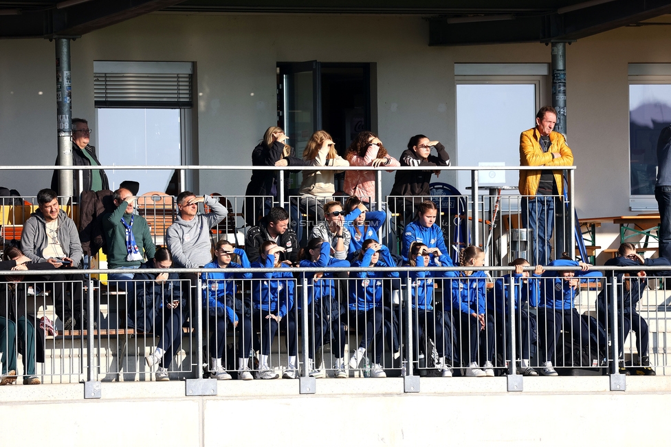 Sturm Damen - BW Linz
OEFB Frauen Bundesliga, 10. Runde, SK Sturm Graz Damen - FC Blau-Weiss Linz Kleinmuenchen, Trainingszentrum Messendorf, 10.11.2024. 

Foto zeigt Fans von BW Linz
