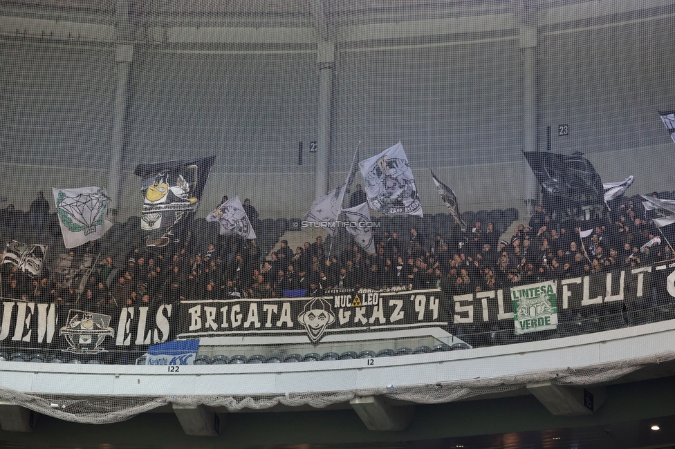 Lille - Sturm Graz
UEFA Champions League Ligaphase 6. Spieltag, Lille OSC - SK Sturm Graz, Stade Pierre Mauroy Lille, 11.12.2024. 

Foto zeigt Fans von Sturm
