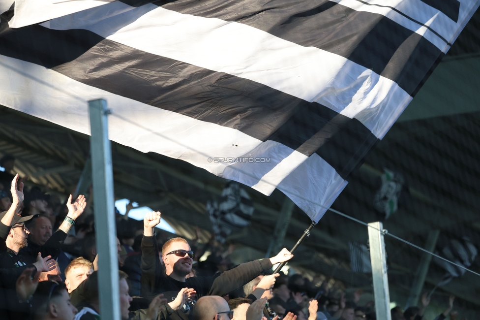 Sturm Graz U19 - Olympiacos
UEFA Youth League Achtelfinale, SK Sturm Graz U19 - Olympiacos FC, Stadion Liebenau Graz, 05.03.2025. 

Foto zeigt Fans von Sturm
