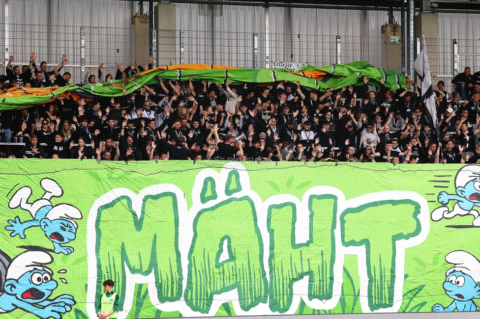 BW Linz - Sturm Graz
Oesterreichische Fussball Bundesliga, 29. Runde, Blau-Weiss Linz - SK Sturm Graz, Hofmann Personal Stadion Linz, 04.05.2025. 

Foto zeigt Fans von Sturm mit einer Choreografie

