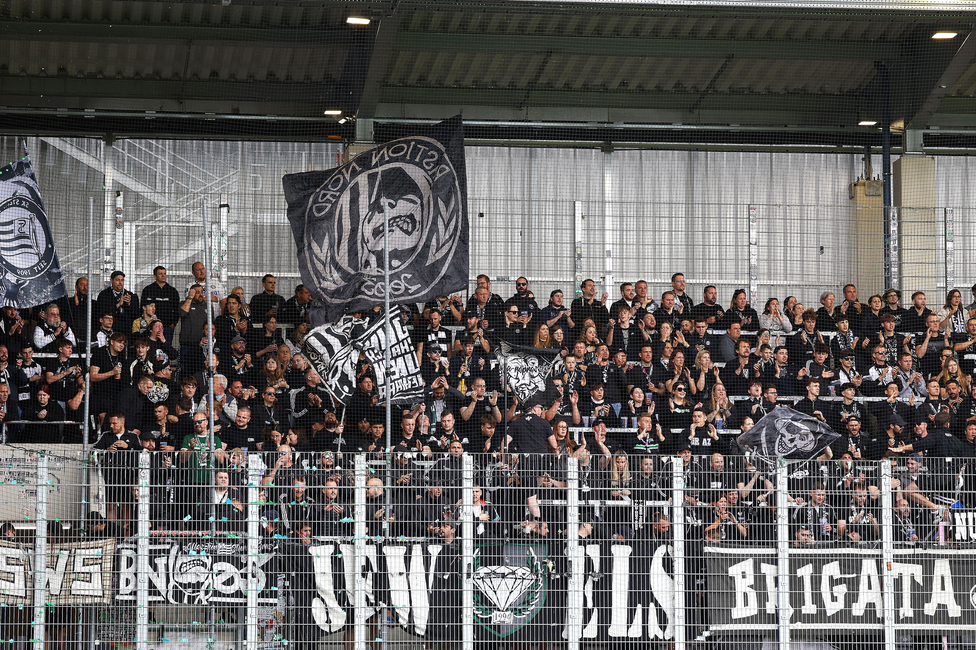BW Linz - Sturm Graz
Oesterreichische Fussball Bundesliga, 29. Runde, Blau-Weiss Linz - SK Sturm Graz, Hofmann Personal Stadion Linz, 04.05.2025. 

Foto zeigt Fans von Sturm
