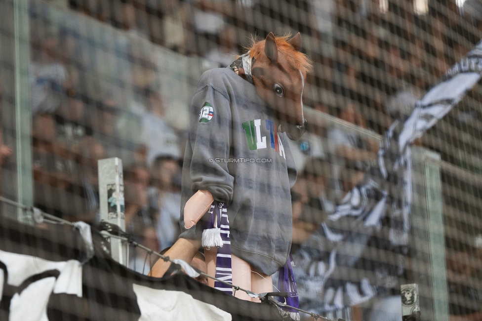 Sturm Graz - Rapid Wien
Oesterreichische Fussball Bundesliga, 2. Runde, SK Sturm Graz - SK Rapid Wien, Stadion Liebenau Graz, 10.08.2025. 

Foto zeigt Fans von Sturm
Schlüsselwörter: sws