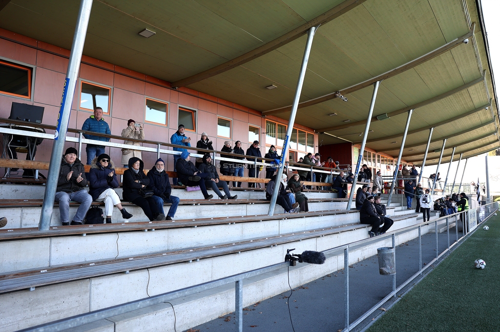 Sturm Damen - Suedburgenland Hartberg
OEFB Frauen Bundesliga, 13. Runde, SK Sturm Graz Damen - SpG Suedburgenland TSV Hartberg, Koralmstadion Deutschlandsberg, 23.11.2025. Foto zeigt Fans
