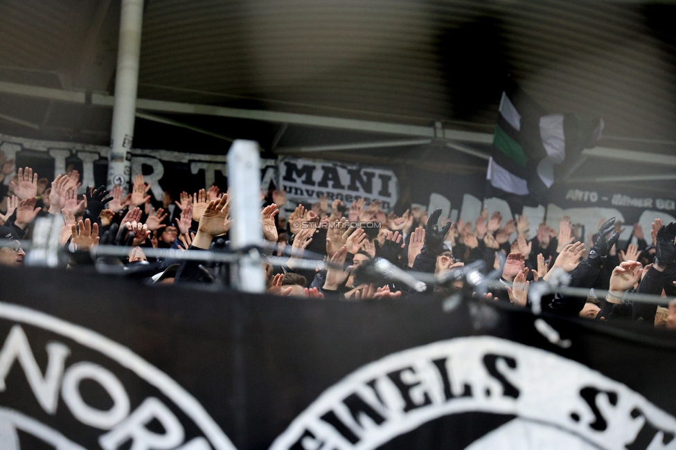 Sturm Graz - Crvena Zvezda
UEFA Europa League Gruppenphase 6. Spieltag, SK Sturm Graz - FK Crvena Zvezda, Stadion Liebenau Graz, 11.12.2025. 

Foto zeigt Fans von Sturm
Schlüsselwörter: jewels