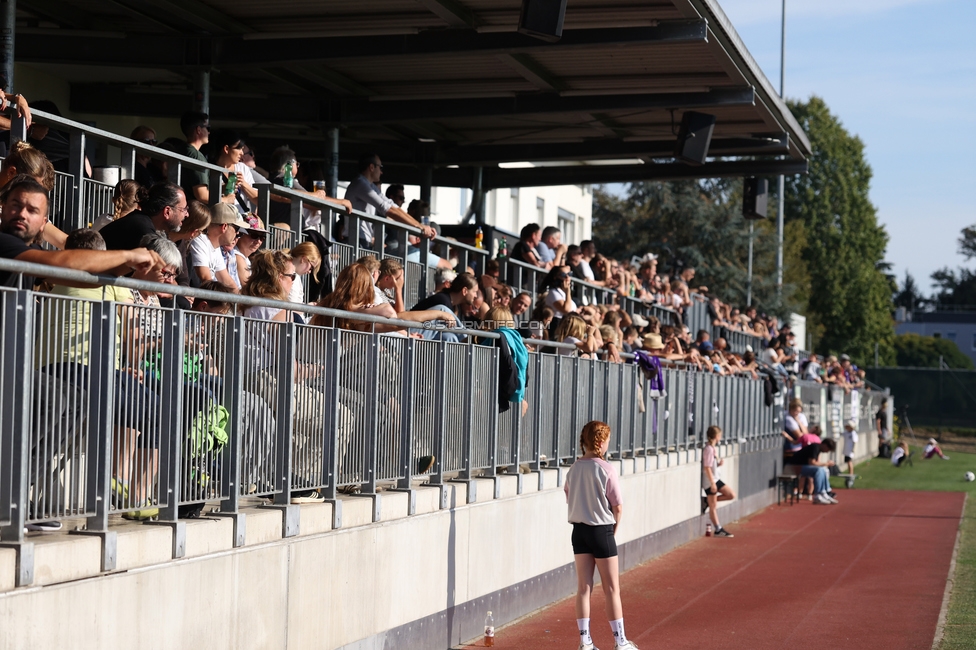 Sturm Frauen - Austria
OEFB Frauen Bundesliga, 8. Runde, SK Sturm Graz Frauen - FK Austria Wien, Trainingszentrum Messendorf, 27.09.2026. Foto zeigt Fans von Sturm
